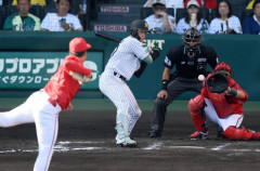 【悲報】阪神ファンの民度ｗｗｗｗｗｗｗｗｗｗｗ