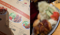 とある飲食店でヒレカツを注文 → 出てきたものがヤバすぎて28万いいねｗｗｗｗｗｗ
