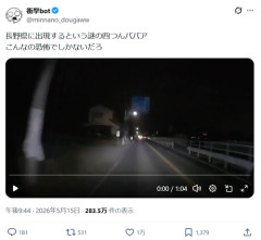 【恐怖映像】四つん這いババア、ものすごい速度で車道に出現するｗｗｗｗ