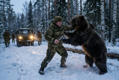 東京にクマ出没、登山中にロシア人男性が襲われ重傷…奥多摩町！