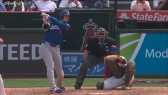 大谷翔平 .258 7本 24打点 OPS.839