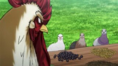 ニワトリ・ファイター 第7話 感想：鳩と鶏が合コン！奇獣って人間以外もなるんだ