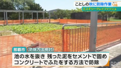 那覇市、特定外来種のザリガニ防除に本腰を入れ始める