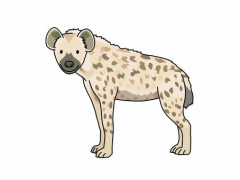 【画像】アフリカで人気のペット、ヤバいｗｗｗｗｗｗｗｗｗｗｗｗｗｗｗｗ