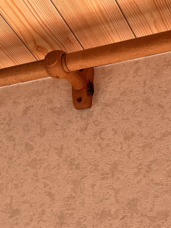 【あかん】ワイの部屋にオオスズメバチ侵入