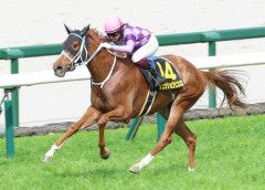 【競馬予想】[2]第87回優駿牝馬(オークス)(GⅠ) /2026