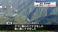 【衝撃】東京・奥多摩で上半身のない遺体が発見される、クマに襲われた可能性