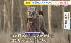 オオカミ型ロボット「モンスターウルフ」製造大忙し…工事現場なみ大音量・大光量でクマ威嚇！