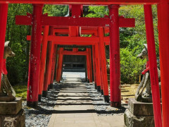 国内旅行のオススメ教えてくれい！