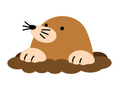 モグラって実際にみたことある人いるの？