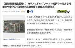 【静岡】カラスにドッグフードをあげていた65歳女性を書類送検