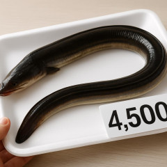完全養殖ウナギ、1尾4500円で発売へ   |  誰が食うんだよ？