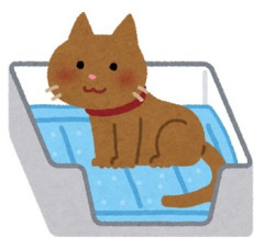 猫に関しての衛生観念がちょっと嫌。トイレの砂を素手で掃除したり、餌の皿を人間の食器のある流し台で洗ったりとちょっと考えられないんだけど、猫飼いって皆そうなの