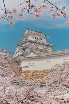 城って言うほど観光したいか？