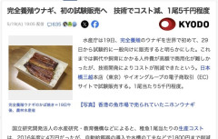 【朗報】完全養殖ウナギ、初の試験販売へ　1尾5千円程度