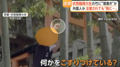 【迷惑】落書き相次ぐ伏見稲荷大社で“外国人”が竹に落書きか　目撃したベトナム人男性「注意したが『別に何も』と」