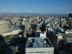 【悲報】新潟県内で『とんでもない物』が出没してしまう！！！！！！