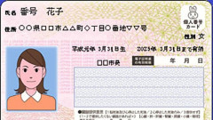 マイナンバーカード返納93万枚ｗｗｗｗｗ