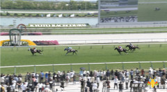 【京都ハイジャンプ】シホノスペランツァ＆高田騎手がｷﾀ━━━━(ﾟ∀ﾟ)━━━━!!