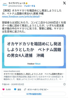 【悲報】オカヤドカリ2000匹さん、段ボールに詰められてコンビニから発送されそうになってしまう