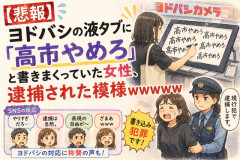 【悲報】ヨドバシの液タブに「高市やめろ」と書きまくっていた女性、逮捕された模様ｗｗｗｗｗ