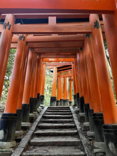 【悲報】伏見稲荷大社の竹に落書きした外国人さん、注意されて「別に何も」ととぼけてしまう