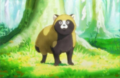ハートフルタヌキストーリー『お前、タヌキにならねーか？』TVアニメ化決定