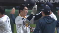 12球団ここまでの大社ルーキー野手の成績（2026.5.20）