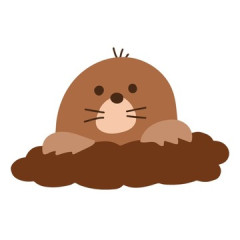 若槻千夏さん、恐ろしい体験をしてしまう