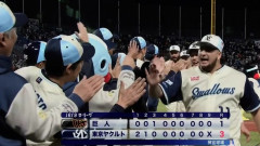 ヤクルトが強い理由、未だに謎wwwwwwwww