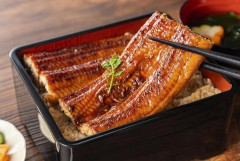 【衝撃】世界初の完全養殖ウナギの『価格』、ガチでヤバイｗｗｗｗｗｗｗｗ