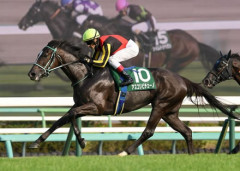 G1・2勝アスコリピチェーノが現役引退、骨盤骨折の疑いで復帰めど立たず