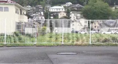 【長野】「黒いモフモフした影がビューっと走って行ってビックリ…」クマの目撃情報相次ぐ