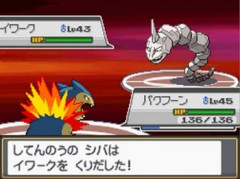 【画像】ポケモン金銀・HGSSの旅パの模範解答