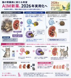 猫、寿命が倍になる新薬が年内実用化へ