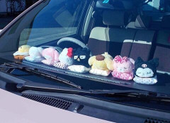 俺も車になんかぬいぐるみ乗せたい