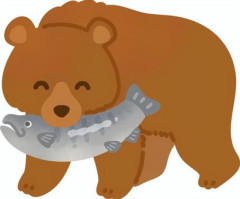 【動画】クマサン、川に頭を突っ込んでしまうｗｗｗｗｗｗｗｗｗｗｗｗｗｗｗｗ