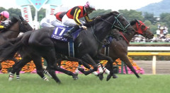 G1・2勝アスコリピチェーノが現役引退、骨盤骨折の疑いで復帰めど立たず