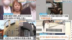 【速報】動物愛護団体代表の47歳女さん、動物虐待で逮捕「犬猫39匹を劣悪な環境で飼育 30匹以上の死骸が散乱」
