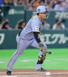 阪神のドラ1・立石正広👉打率.385のOPS.846ｗｗｗｗｗｗ