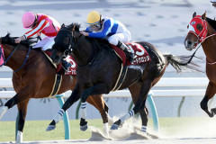 【競馬予想】第33回平安ステークス(GⅢ) /2026