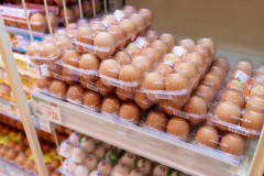 【悲報】引きこもり炙り出し質問、「卵って何コーナーに置いてる？」に決定してしまう