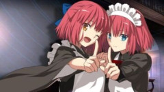 【FGO】最終的にはヒロイン全員がサーヴァントで参戦していてもおかしくはない？月姫の翡翠や琥珀にだって可能性はあるかもしれない