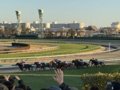 もうｇ１は１人気複勝だけ買って夏競馬から本気出そうかな?