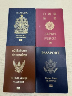 外国人「日本国籍を含め4重国籍だけど次は何を取得しようかな？」