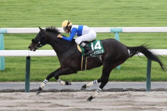 【平安S】1番人気ロードクロンヌが圧勝！重賞２勝目