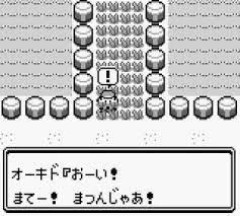 マサラタウンの周りってなんでポッポとコラッタしかいないの？