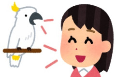 海外「どうしろと！」日本人も分からない日本語の難しさに海外が大騒ぎ