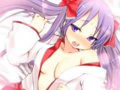 【画像】三大巫女キャラ「火野レイ」「博麗霊夢」「柊かがみ」