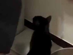 【ダメ】 彼女の大切なオモチャを彼が触っていた。ちょっとやめてよぉ！ → 彼女はこんな様子です…